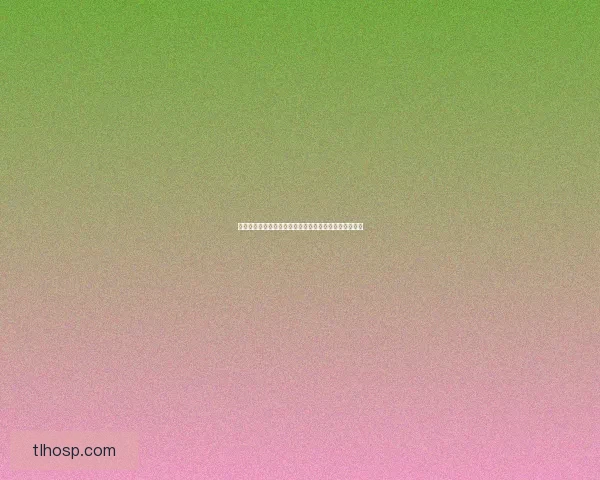 灰熊加速器全面解析：提升网络速度与稳定性的必备工具