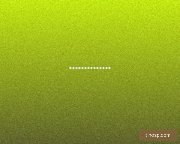 罗纳通道：连接东西方的重要航运通道及其地理、经济影响分析